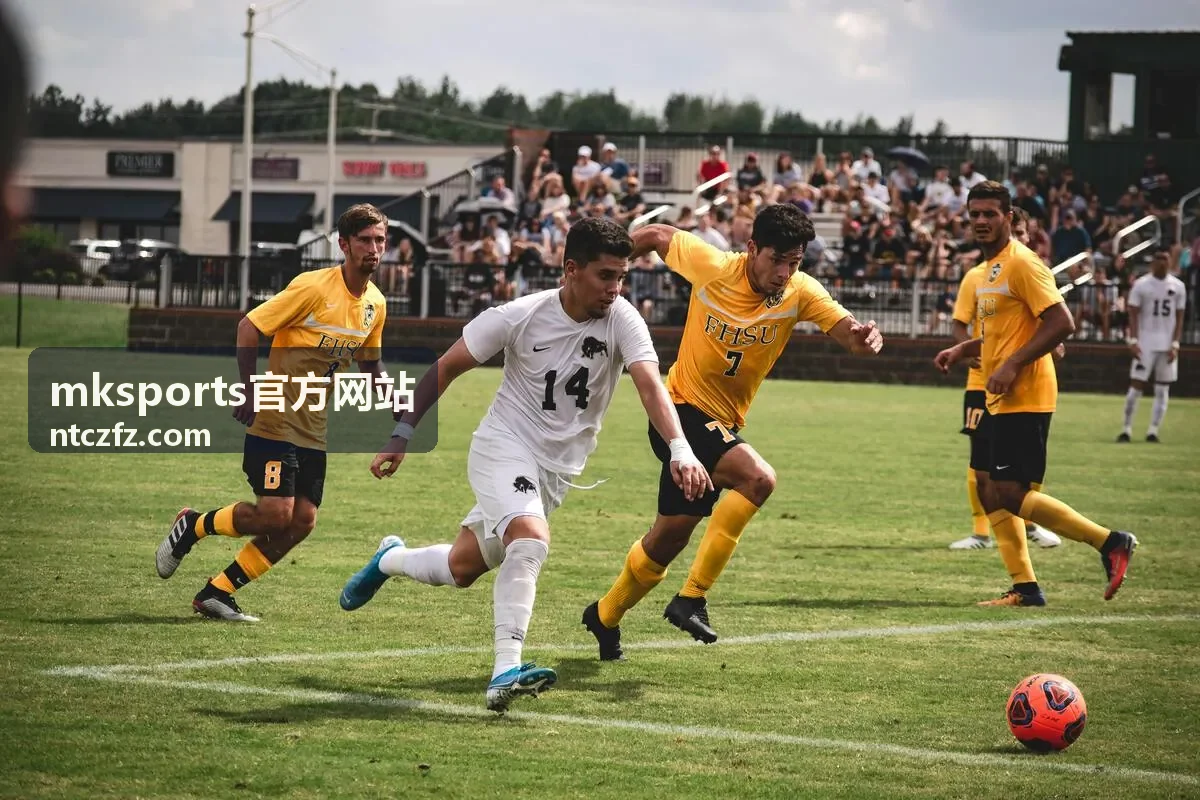 mksports官方网站多终端赛事数据展示与观赛体验