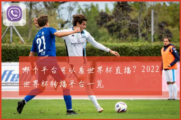 哪个平台可以看世界杯直播？2022世界杯转播平台一览
