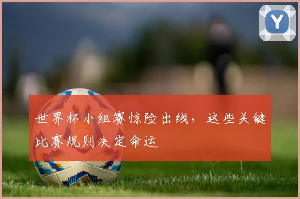 世界杯小组赛惊险出线，这些关键比赛规则决定命运