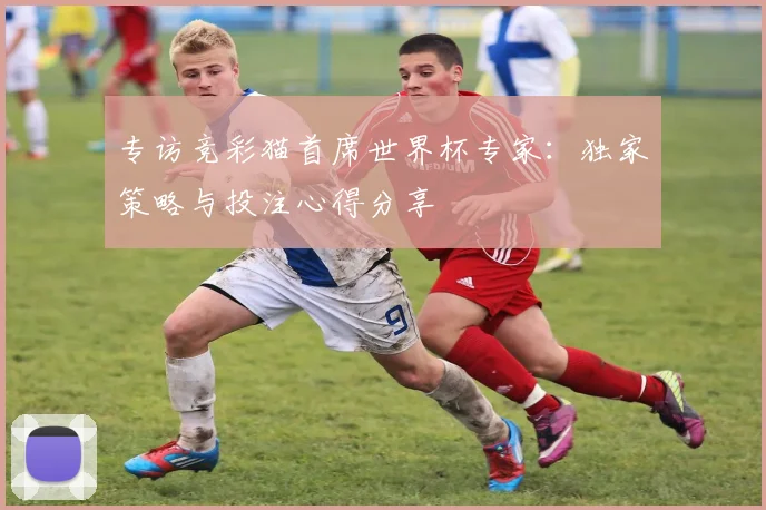 专访竞彩猫首席世界杯专家：独家策略与投注心得分享