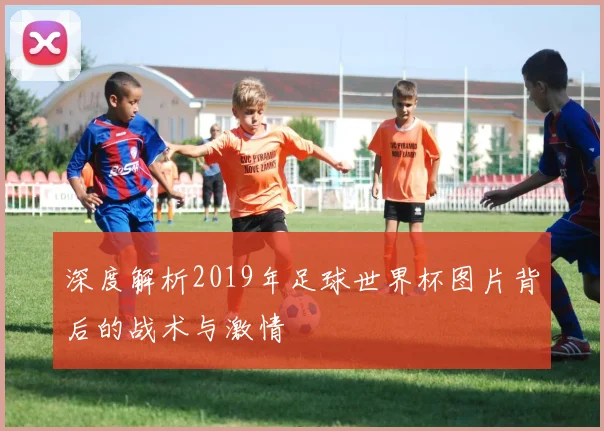 深度解析2019年足球世界杯图片背后的战术与激情