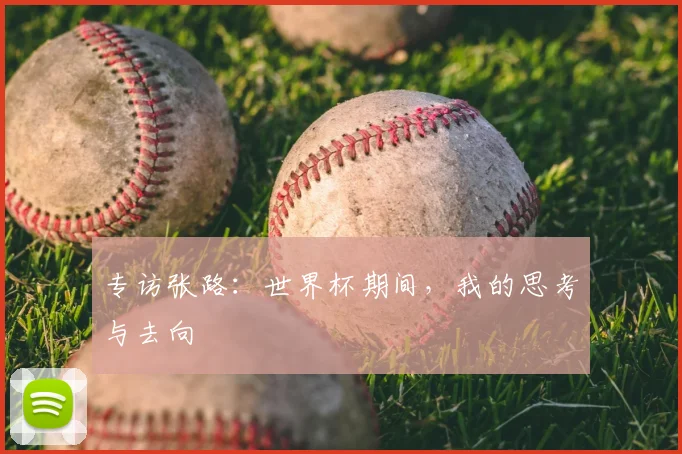 专访张路:世界杯期间,我的思考与去向