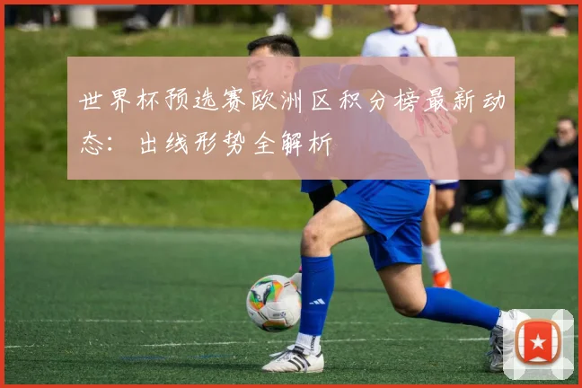 世界杯预选赛欧洲区积分榜最新动态:出线形势全解析