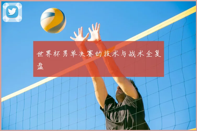 世界杯男单决赛的技术与战术全复盘