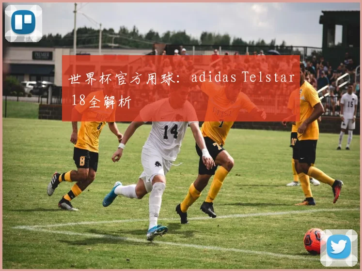 世界杯官方用球：adidas Telstar 18全解析