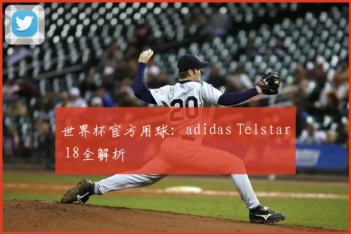 世界杯官方用球：adidas Telstar 18全解析