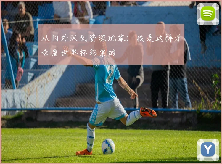 从门外汉到资深玩家:我是这样学会看世界杯彩票的