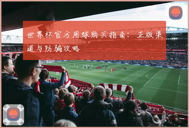 世界杯官方用球购买指南：正版渠道与防骗攻略
